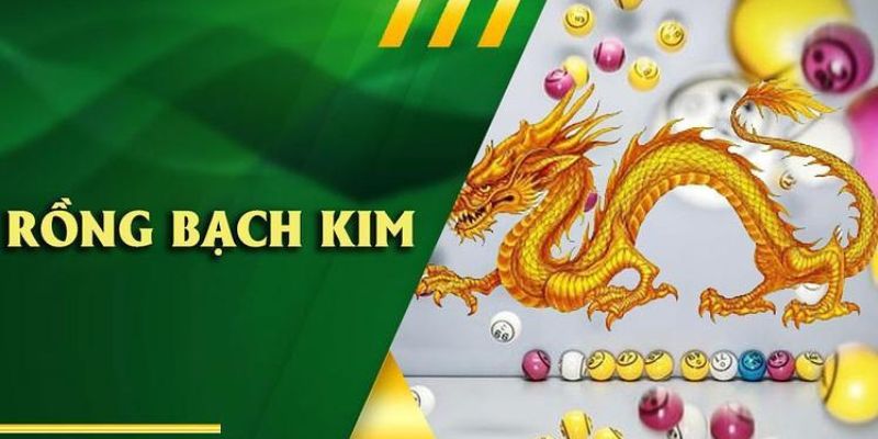 Lý giải tại sao bet thủ nên chọn soi cầu lô đề Rồng Bạch Kim